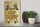 Holzschild Spruch 30x40cm Bee happy eat more honey Honig