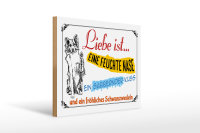 Holzschild Spruch 40x30cm Liebe ist eine feuchte Nase Kuss