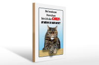 Holzschild Spruch 30x40cm Katze bei meinem Herrchen Chef