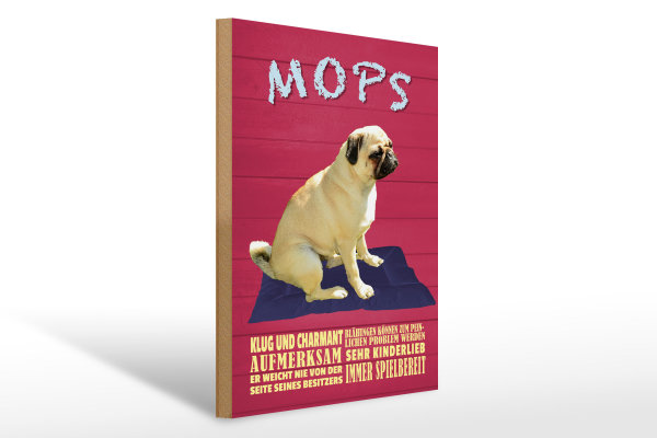 Holzschild Spruch 30x40cm Mops Hund klug und charmant