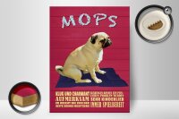 Holzschild Spruch 30x40cm Mops Hund klug und charmant