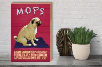 Holzschild Spruch 30x40cm Mops Hund klug und charmant