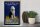 Holzschild Spruch 30x40cm Old English Sheepdog Hund