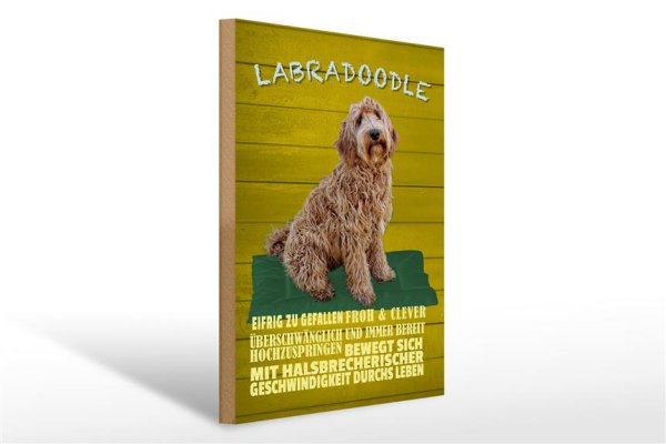 Holzschild Spruch 30x40cm Labradoodle Hund froh und clever