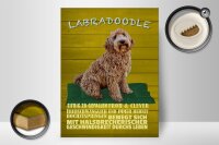 Holzschild Spruch 30x40cm Labradoodle Hund froh und clever