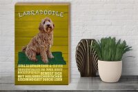 Holzschild Spruch 30x40cm Labradoodle Hund froh und clever
