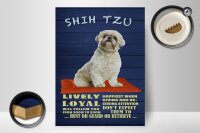Holzschild Spruch 30x40cm Shih Tzu Hund lively loyal