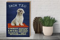 Holzschild Spruch 30x40cm Shih Tzu Hund lively loyal