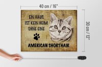 Holzschild Spruch 40x30cm American Shorthair Katze