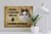 Holzschild Spruch 40x30cm exotische Kurzhaar ohne kein Heim