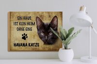 Holzschild Spruch 40x30cm Havana Katze ohne kein Heim