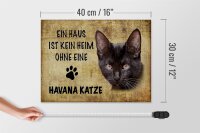 Holzschild Spruch 40x30cm Havana Katze ohne kein Heim