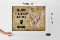 Holzschild Spruch 40x30cm Sphynx Katze ohne kein Heim