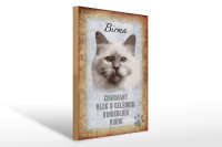 Holzschild Spruch 30x40cm Birma Katze klug Schild