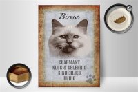 Holzschild Spruch 30x40cm Birma Katze klug Schild