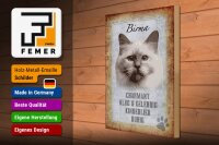 Holzschild Spruch 30x40cm Birma Katze klug Schild