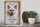 Holzschild Spruch 30x40cm Birma Katze klug Schild