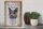 Holzschild Spruch 30x40cm russisch blau Katze Schild
