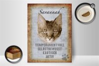 Holzschild Spruch 30x40cm Savannah Katze exotisch Schild