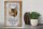 Holzschild Spruch 30x40cm Savannah Katze exotisch Schild