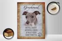 Holzschild Spruch 30x40cm Greyhound Hund Schild