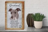 Holzschild Spruch 30x40cm Greyhound Hund Schild