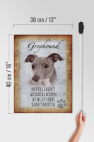 Holzschild Spruch 30x40cm Greyhound Hund Schild