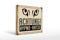 Holzschild Retro 40x30cm Achtung Hypno-Katze Schild
