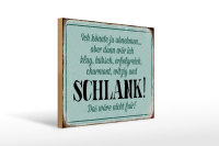 Holzschild Spruch 40x30cm könnte abnehmen dann klug...