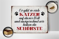 Holzschild Spruch 40x30cm wir haben die schönste Katze