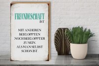 Holzschild Spruch 30x40cm Freundschaft ist mit anderen