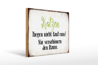 Holzschild Spruch 40x30cm Katzen liegen nicht faul rum