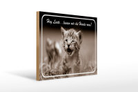 Holzschild Katze 40x30cm Hey lassen wir die Hunde raus
