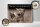 Holzschild Katze 40x30cm Hey lassen wir die Hunde raus