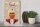 Holzschild Spruch 30x40cm Cupcake Allerbeste