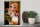 Holzschild Spruch 30x40cm Pinup Oh schon Bier Uhr