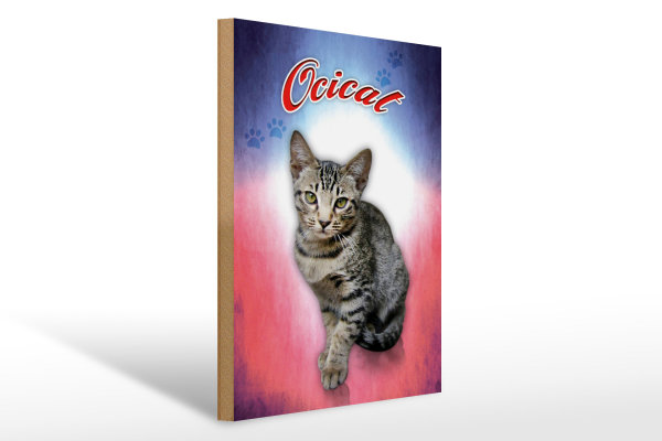 Holzschild Katze 40x30cm Ocicat Wanddeko