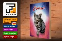 Holzschild Katze 40x30cm Ocicat Wanddeko