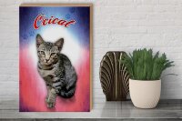 Holzschild Katze 40x30cm Ocicat Wanddeko