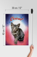 Holzschild Katze 40x30cm Ocicat Wanddeko