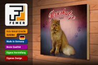 Holzschild Katze 40x30cm Perserkatze England Wanddeko
