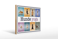Holzschild Hund 40x30cm Hunde Yoga Wanddeko bunt