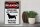 Holzschild Hinweis 30x40cm beware of attack Basset Hound