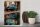 Holzschild Spruch 30x40cm Cuba Auto blau Oldtimer