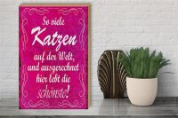 Holzschild Spruch 30x40cm so viele Katzen auf der Welt