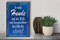 Holzschild Spruch 30x40cm so viele Hunde auf der Welt