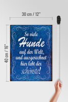 Holzschild Spruch 30x40cm so viele Hunde auf der Welt