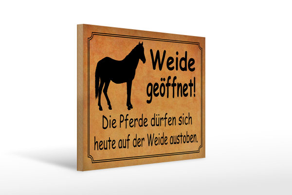 Holzschild Spruch 40x30cm Weide geöffnet Pferde dürfen