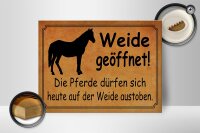 Holzschild Spruch 40x30cm Weide geöffnet Pferde dürfen