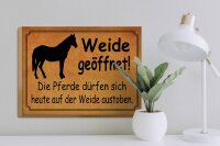 Holzschild Spruch 40x30cm Weide geöffnet Pferde dürfen